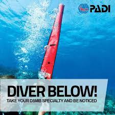 DSMB - Delayed Surface Marker Buoy | PADI
