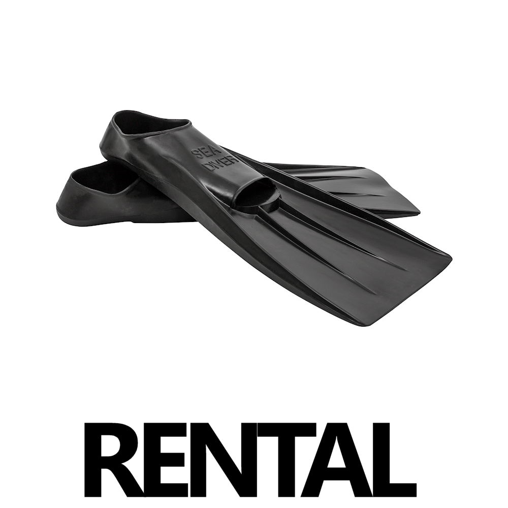 Fins | Rental