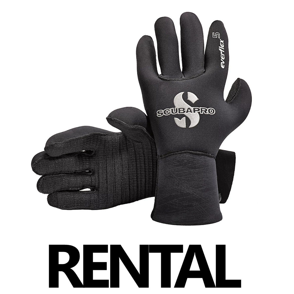 Gloves | Rental