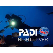 Night Diver | PADI