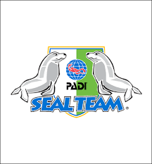 SEAL TEAM PART ONE (KIDS)
