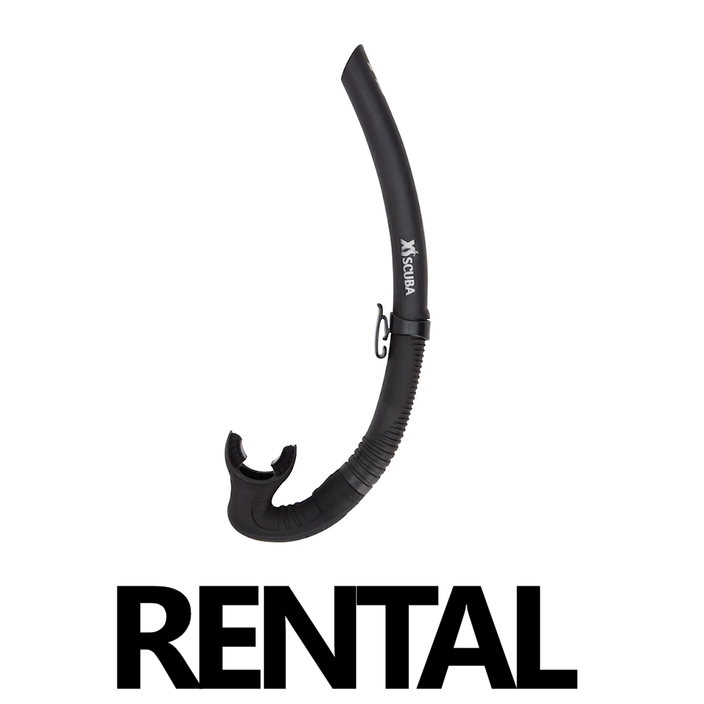 Snorkel | Rental