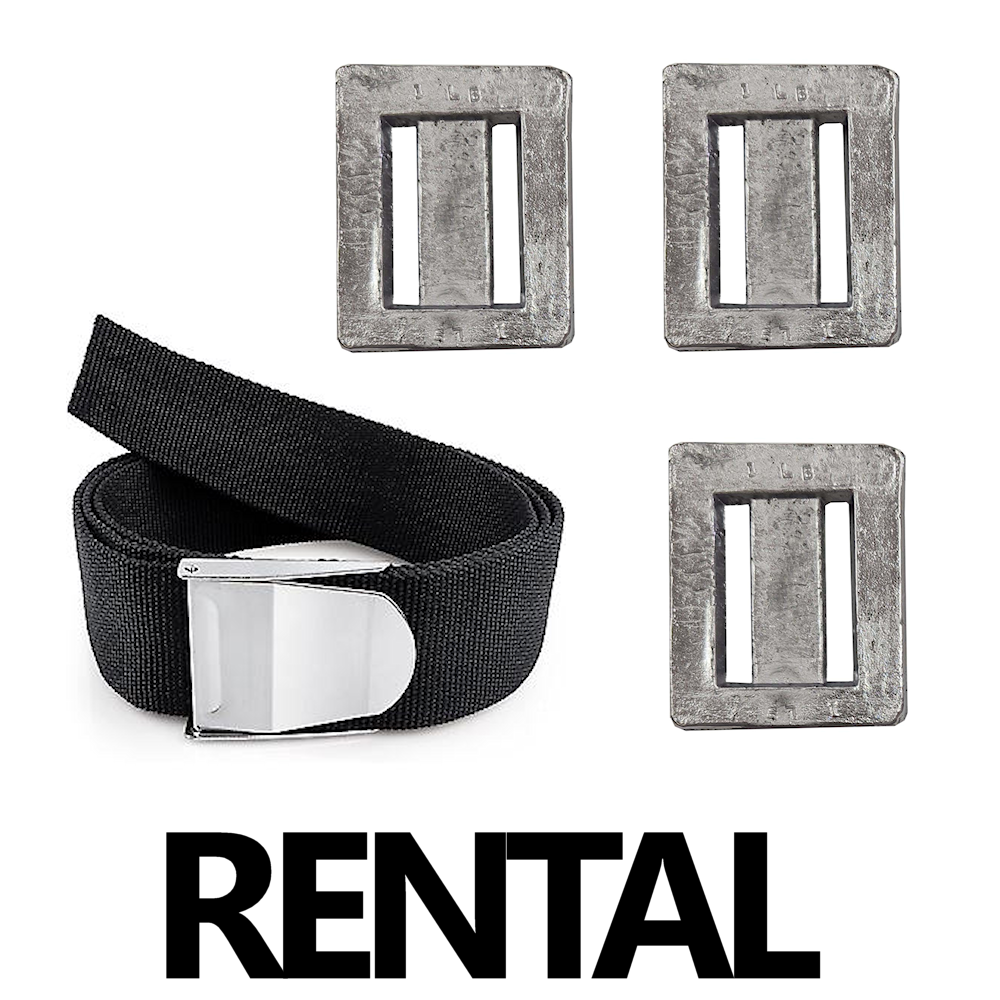 Weights & Belt | Rental