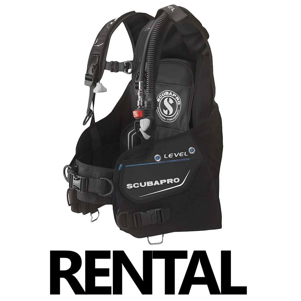 BCD | Rental
