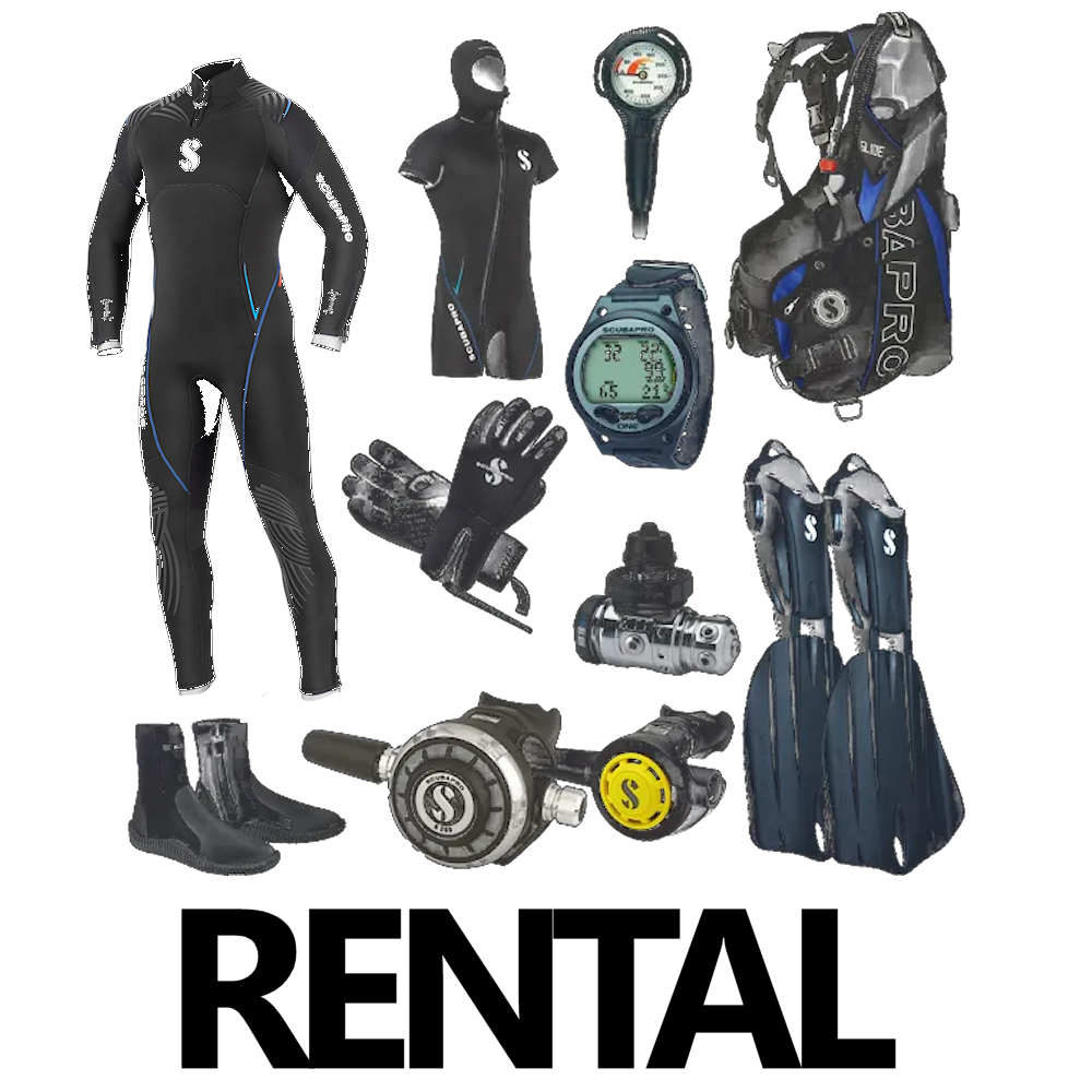 Semidry & Full Kit | Rental