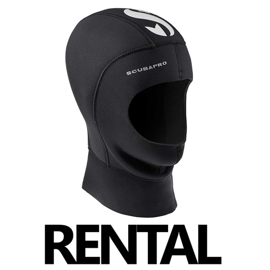 Hood | Rental