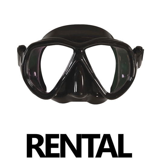 Mask | Rental