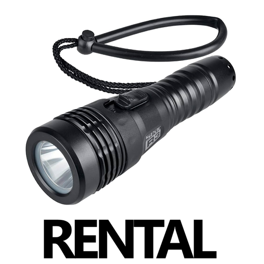 Torch | Rental